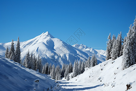 寒冷冬季的雪山景观图片