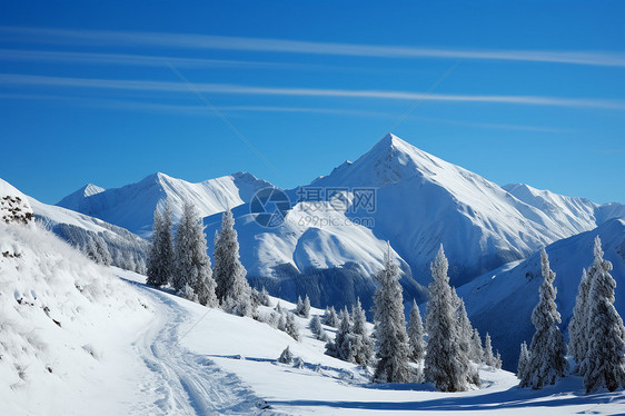 冬季白雪覆盖的雪山景观图片