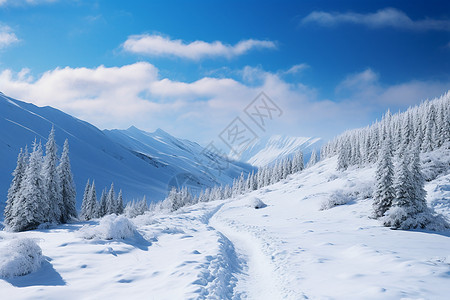 冰冷之巅的雪山图片