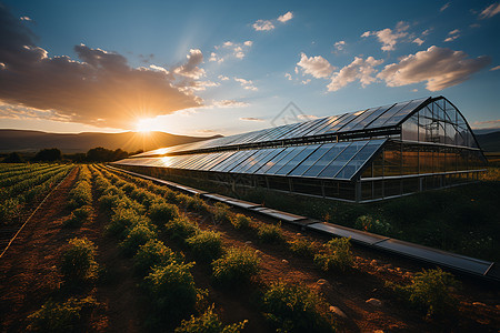 现代新能源科技的太阳能农场图片