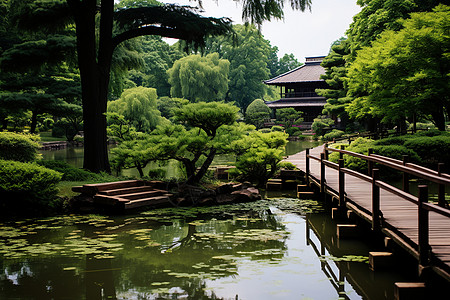 桥上池塘景色图片