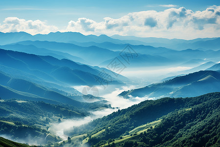 户外的自然风景图片