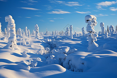 美丽的冰雪景观图片
