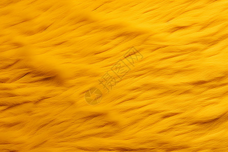 黄色的毛绒材料图片