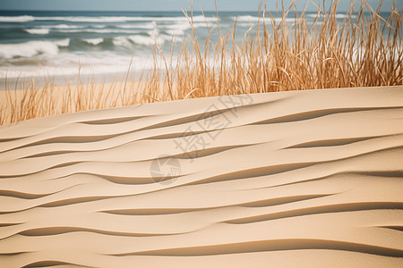 沙滩上的沙子图片