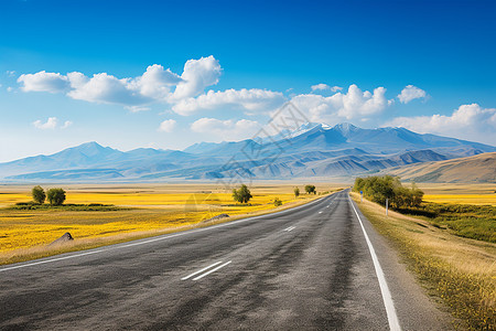 唯美的风景和公路图片