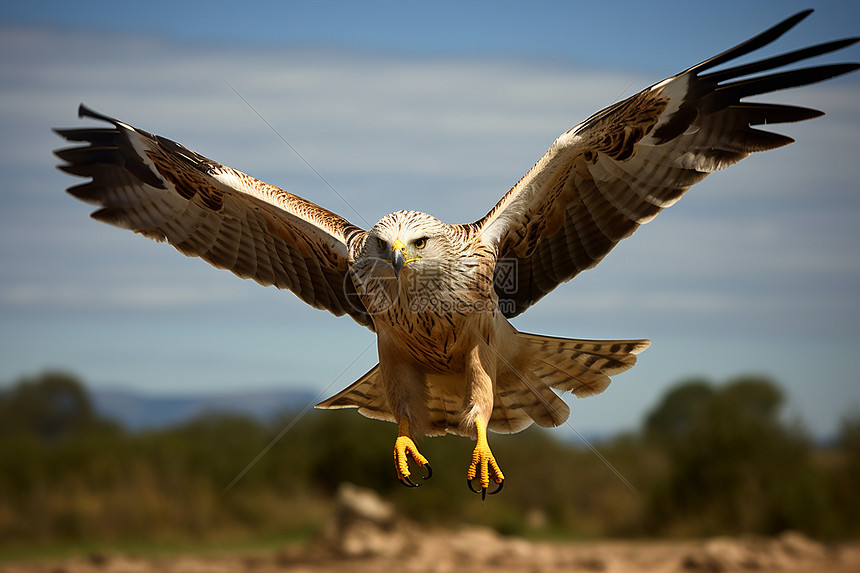 老鹰队外线火力压制活塞内线顽强抵抗