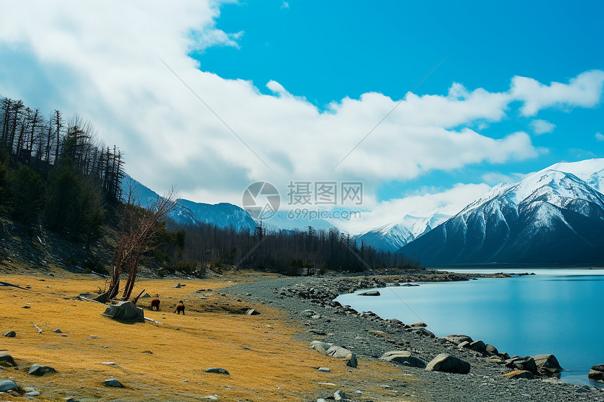 远处的雪山风光图片