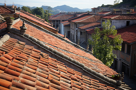 阳光下的红砖瓦屋顶图片