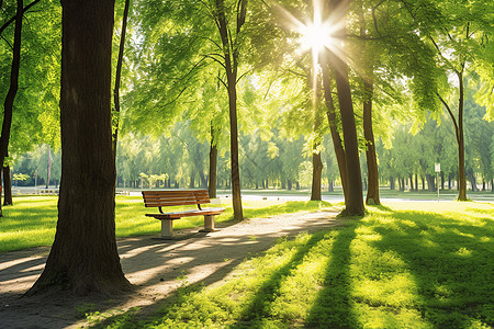 阳光花园公园休息的长椅背景