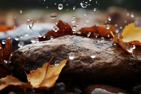 被雨水浇湿的石头图片