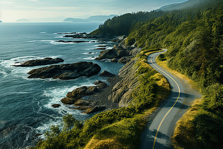 海边灯塔黑白海边蜿蜒的公路背景