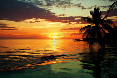 夏季黄昏海洋的美丽景观图片