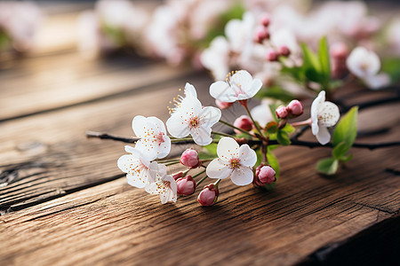 花香四溢图片