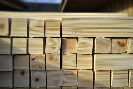 阳光下的木头堆图片