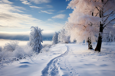 冬季之路图片