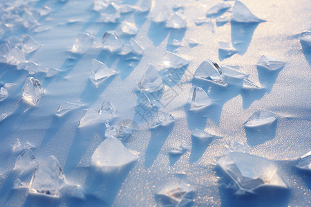 冬季冻结的冰晶图片