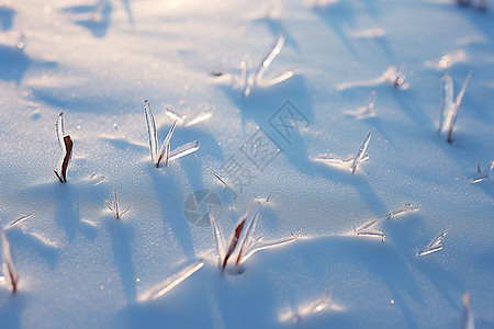 冰天雪地的美景图片