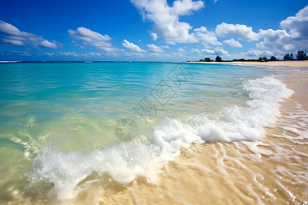 夏季沙滩的美丽景观图片