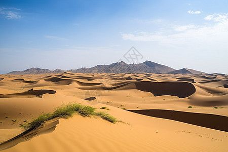 著名的阿尔沙沙漠图片