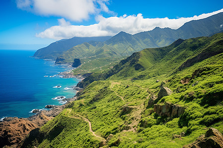 夏季美丽的山谷海岸线景观图片