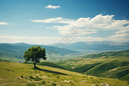 夏季山谷的美丽景观图片