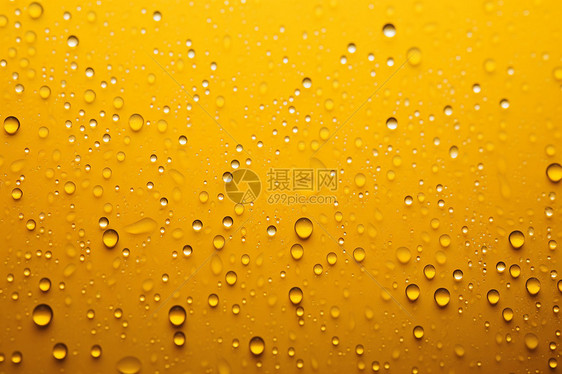 啤酒背景上的水滴图片