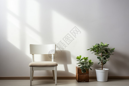 阳光下的白色椅子图片