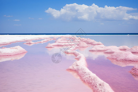 结晶盐的海水图片