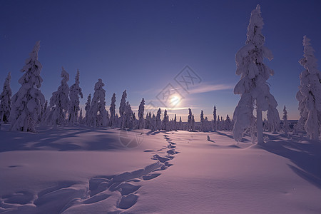 留有一串脚印的雪地图片