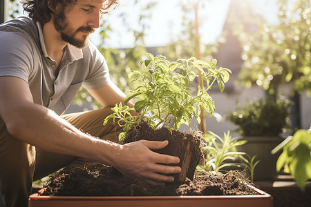 男士在花园中种植一棵树背景图片