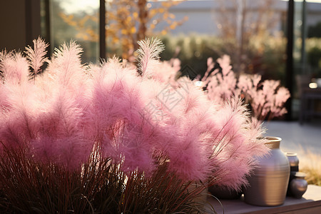 粉色花草中的梦幻世界图片