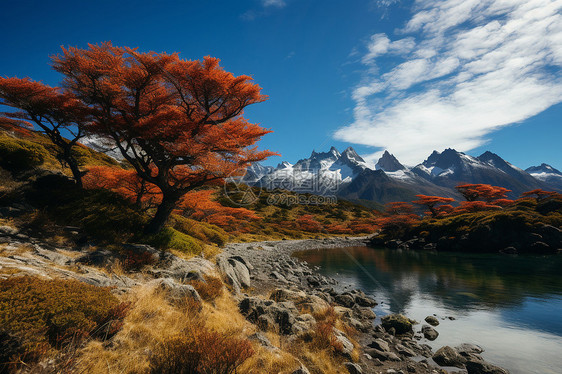 秋天之旅图片