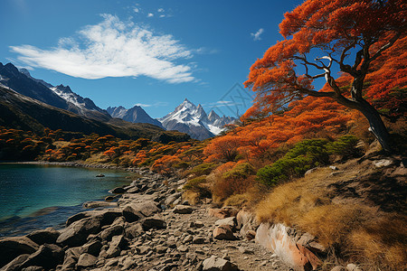秋叶染红湖边山景图片