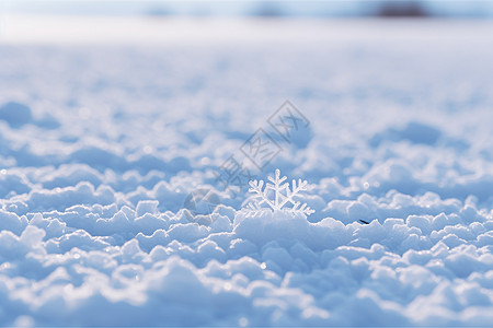 冬日中的冰雪地面图片