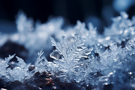 结在地上的雪花背景图片