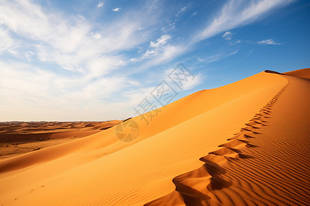 孤寂的沙漠图片