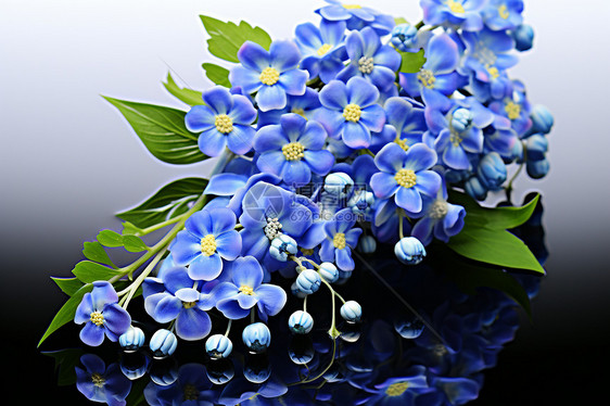 蓝色花朵倒影在水中图片