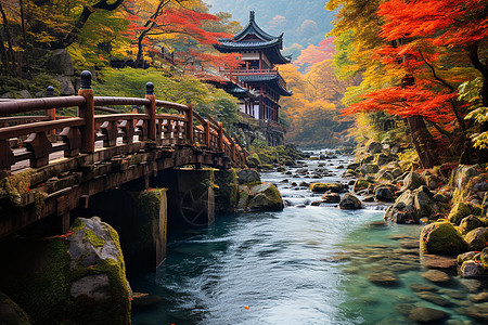 日本桥桥边的河流背景