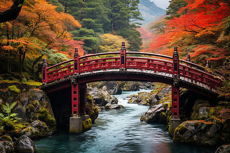红桥与秋叶的相遇背景图片