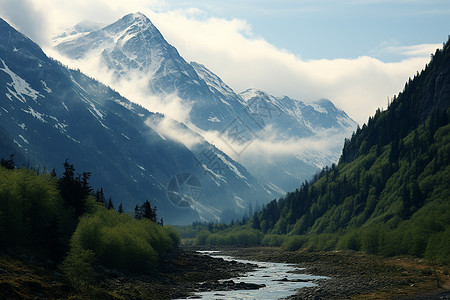 雪山中森林与山谷高清图片