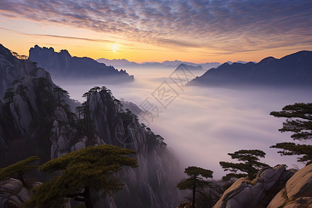 云海飘渺的风景背景图片