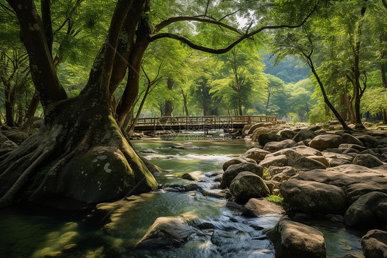 清溪翠林和桥梁图片
