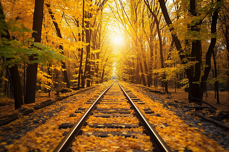 火车轨道上的秋叶图片