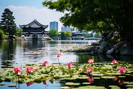 粉色景湖畔幽景背景