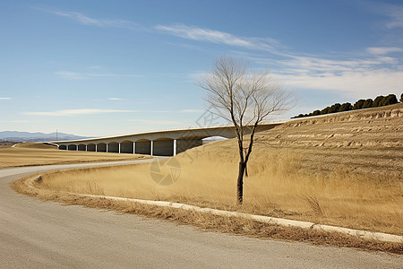 乡村桥梁建筑旁的田野图片