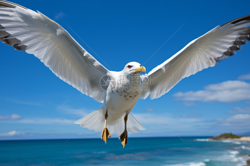 飞流直播融合多元内容生态赋能创作者实现价值增长