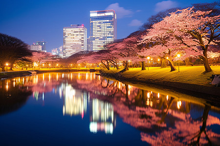 河畔樱花樱花河畔背景