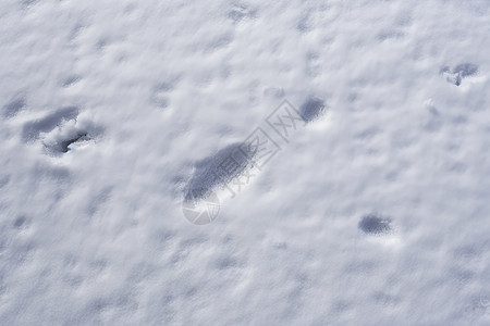 雪地上的脚印背景图片