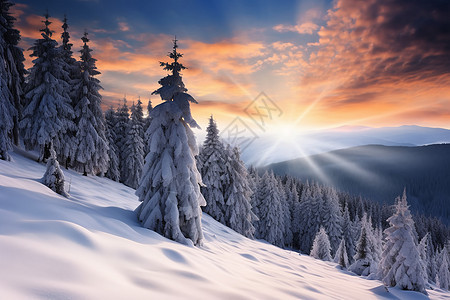 冬日山林图片